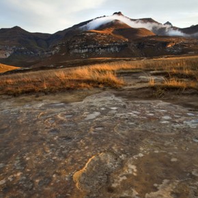 Lithe by Grant Hardie