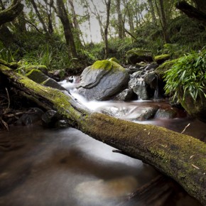 Solitude by Grant Hardie